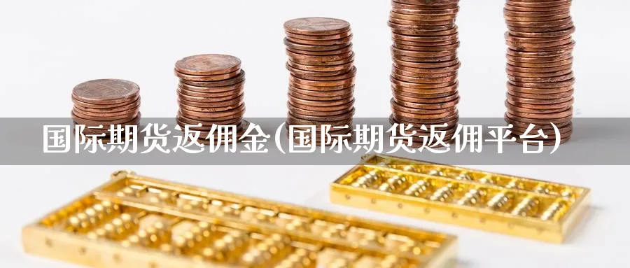 国际期货返佣金(国际期货返佣平台)_https://www.gxaoli.com_期货百科_第1张